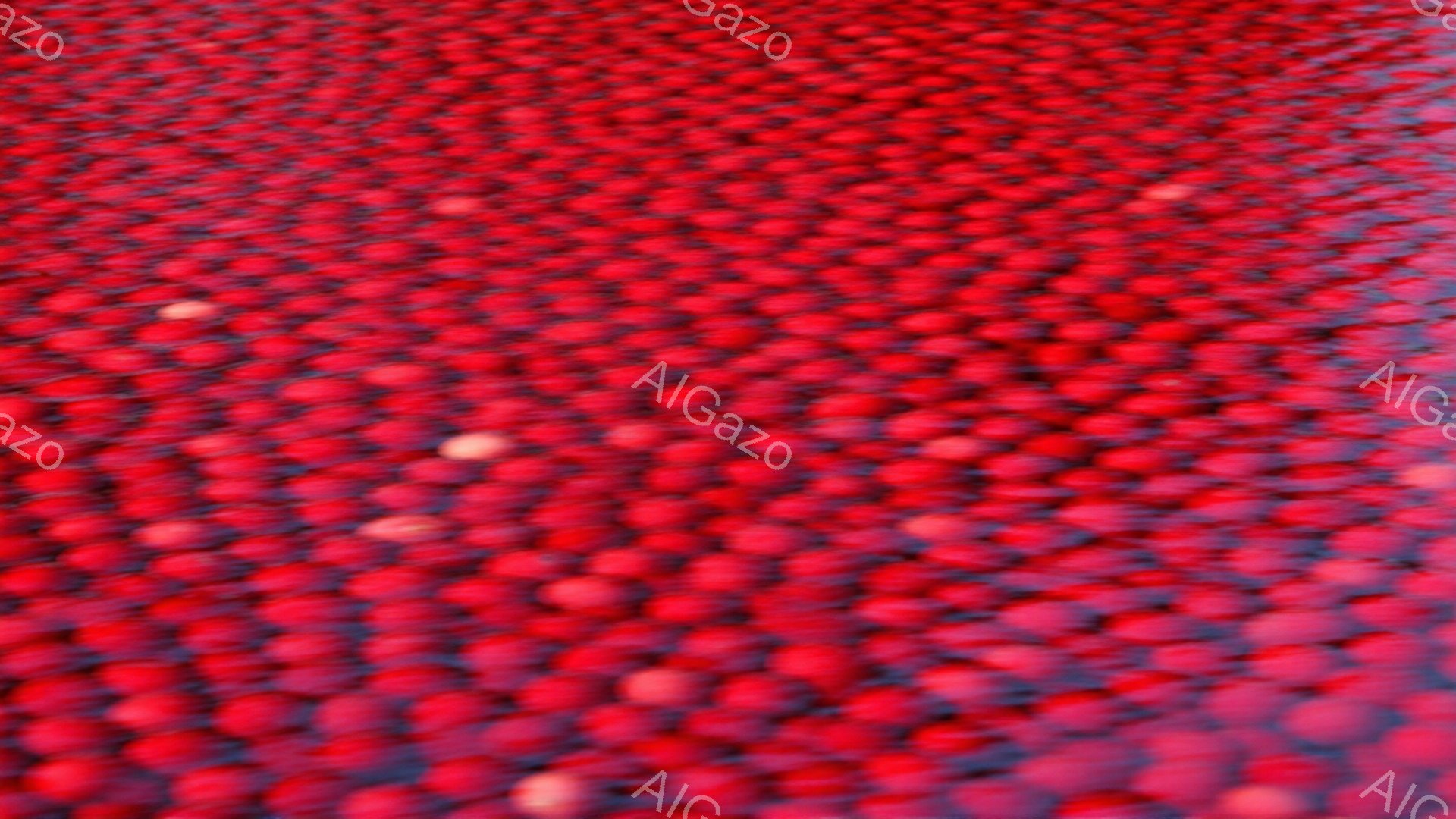 この画像は、無数の赤い粒が密集して見えるクローズアップ写真です。粒は光沢があり、湿っているように見え、全体的にややぼやけた印象を与えます。背景は不明瞭で、粒のテクスチャと色が強調されています。