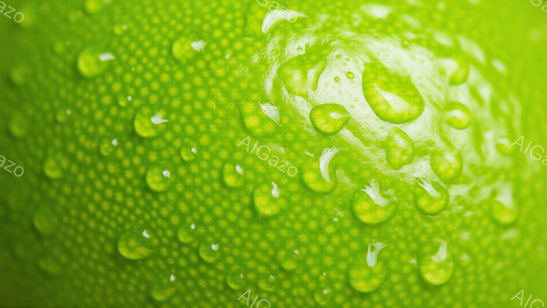 鮮やかな緑色の表面に、大小さまざまな水滴が密集して付着している様子が捉えられています。表面はわずかに凹凸があり、水滴が丸く光を反射して、みずみずしい印象を与えます。背景はぼやけており、水滴と緑色の質感に焦点が当てられています。