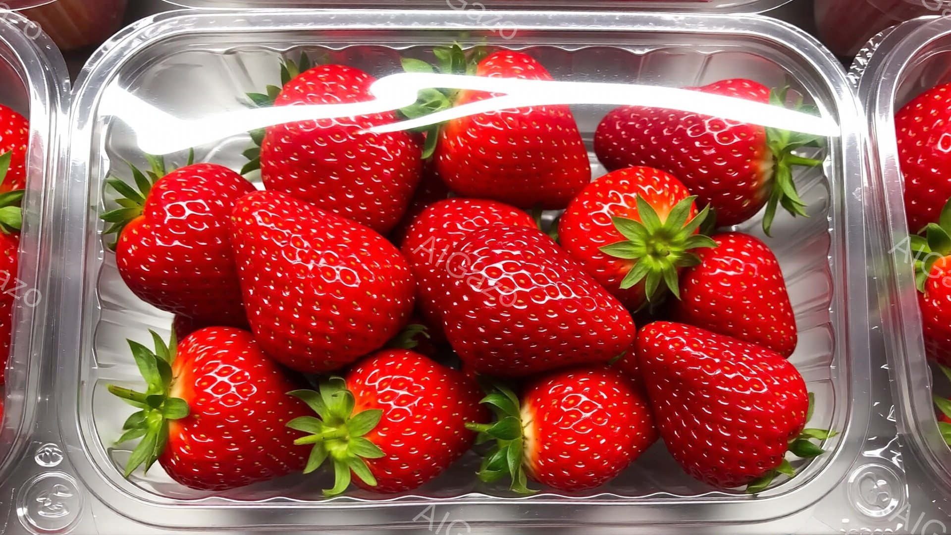 鮮やかな赤色のイチゴが、透明なプラスチックの容器にぎっしりと詰まっています。イチゴはみずみずしく、表面には種がびっしりと並んでいます。容器は銀色で光沢があり、イチゴの赤色をより一層引き立てています。