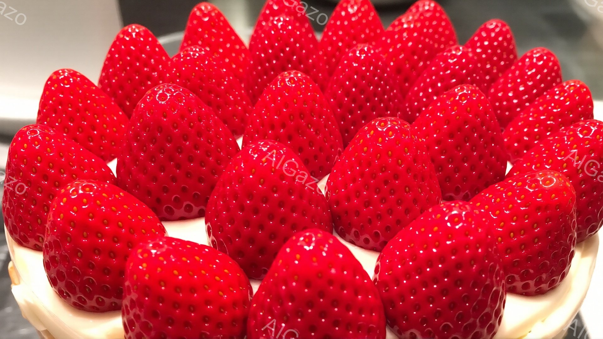 鮮やかな赤色のいちごが円形に並べられた、魅力的なスイーツの写真です。いちごはみずみずしく、表面には種がびっしりと並んでいます。背景はぼやけていますが、白いクリームの上に置かれている様子から、ケーキやタルトの一部のようにも見えます。