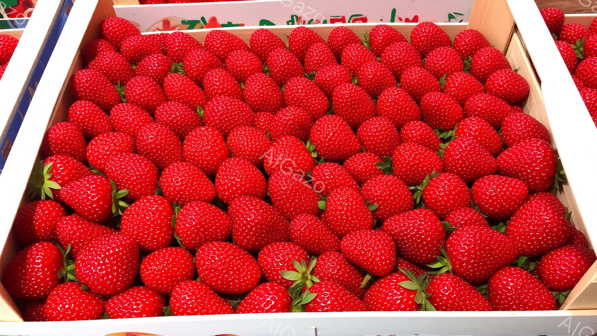 この画像は、木製の箱にぎっしりと詰まった、鮮やかな赤いイチゴが写っています。イチゴは均一な大きさで、緑色の葉が少し見え、みずみずしく、美味しそうです。背景はぼやけており、イチゴの鮮やかさが際立っています。