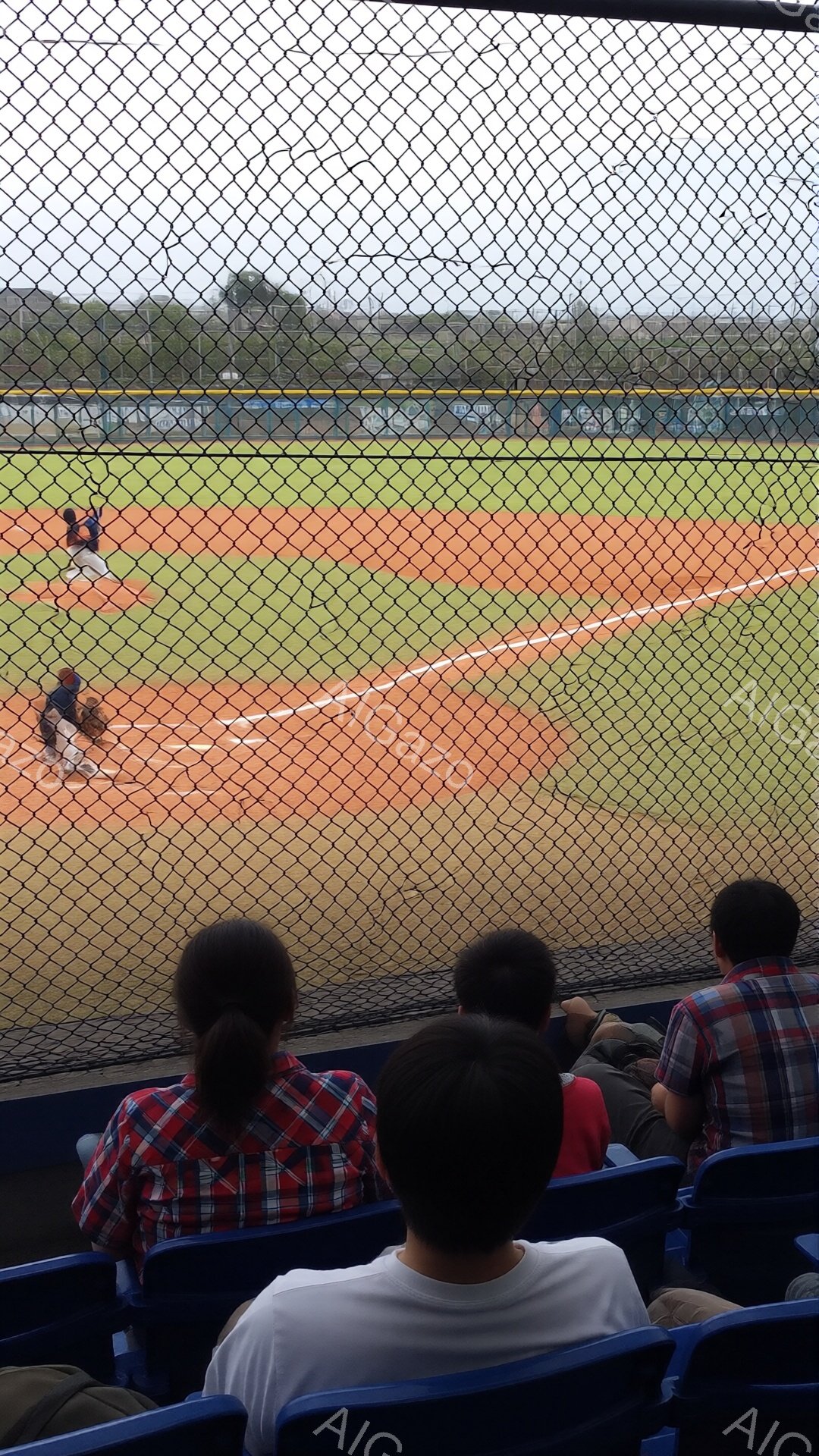 野球場の観客席から見た光景で、ネット越しに野球の試合が行われている様子が写っている。観客は後ろ姿で、黒髪の女性やチェックシャツを着た男性などが見え、試合に集中している様子がうかがえる。背景には緑の木々や野球場全体が広がり、晴天の下での試合を楽しんでいる穏やかな雰囲気が感じられる。