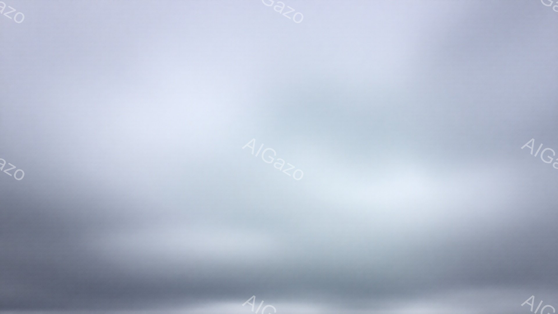 画像は全体的にぼやけており、明確な人物や風景を識別することは困難です。空のような灰色のグラデーションが広がり、薄暗く、夢幻的な雰囲気を醸し出しています。ぼやけ具合から、動きの速い被写体か、あるいは意図的にフォーカスを外した撮影であると考えられます。