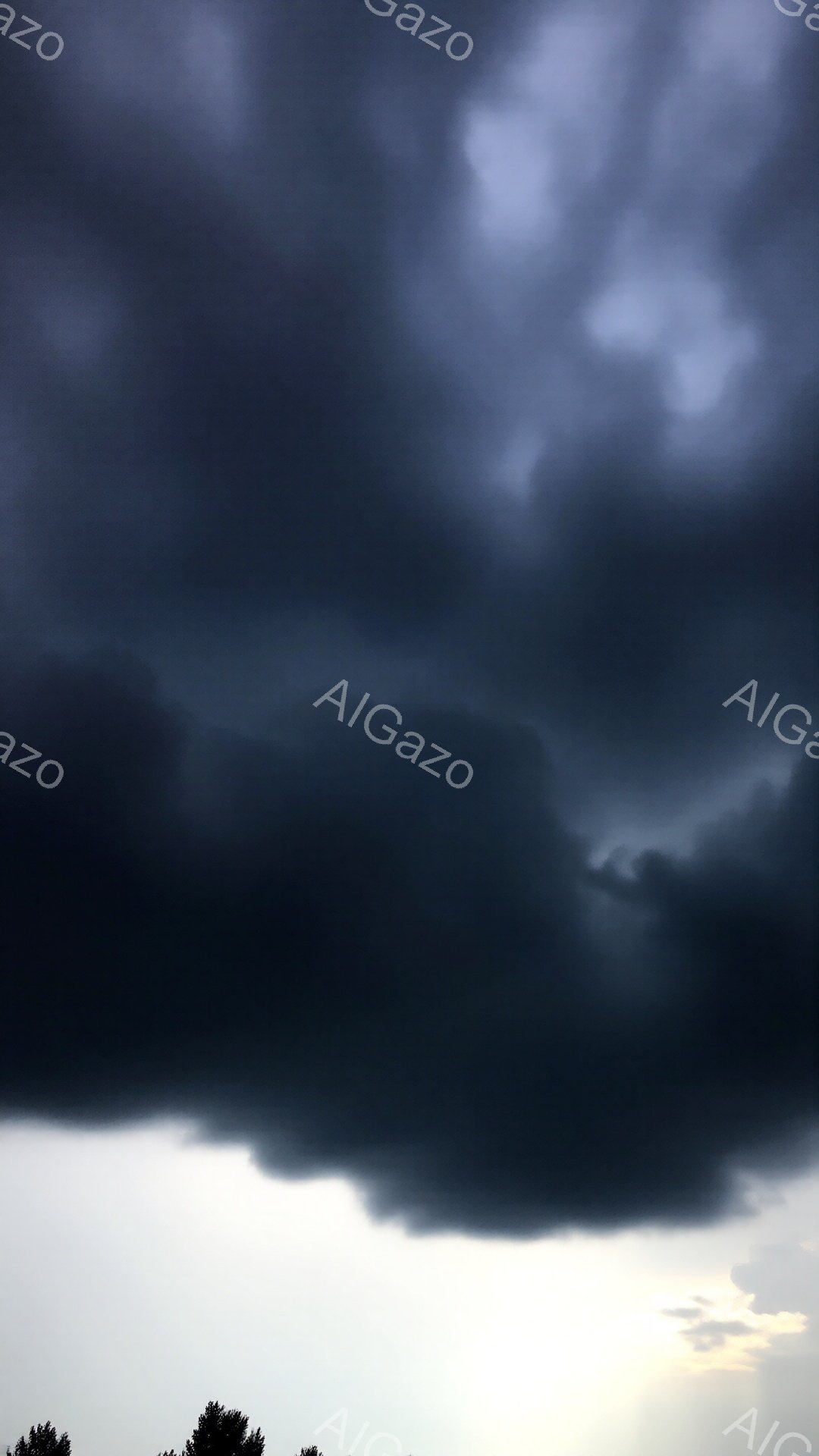 暗い雲が空を覆い、重苦しい雰囲気を醸し出しています。地平線にはわずかな光が差し込み、木々のシルエットが浮かび上がっています。この光景は、嵐が近づいているか、嵐が去った直後の静寂を表しているように見えます。