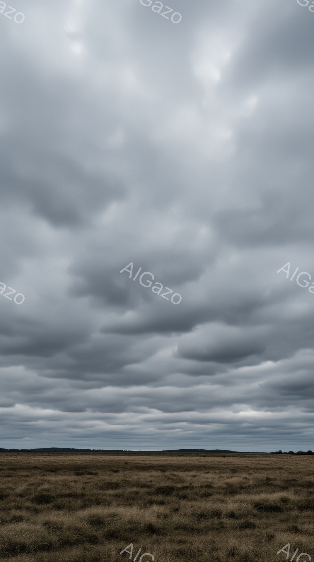 荒涼とした大地が広がり、地平線まで茶色い草が生い茂っている。上空には厚い雲が広がり、重々しい雰囲気を醸し出している。空と大地のコントラストが、静寂と孤独感を強調している。