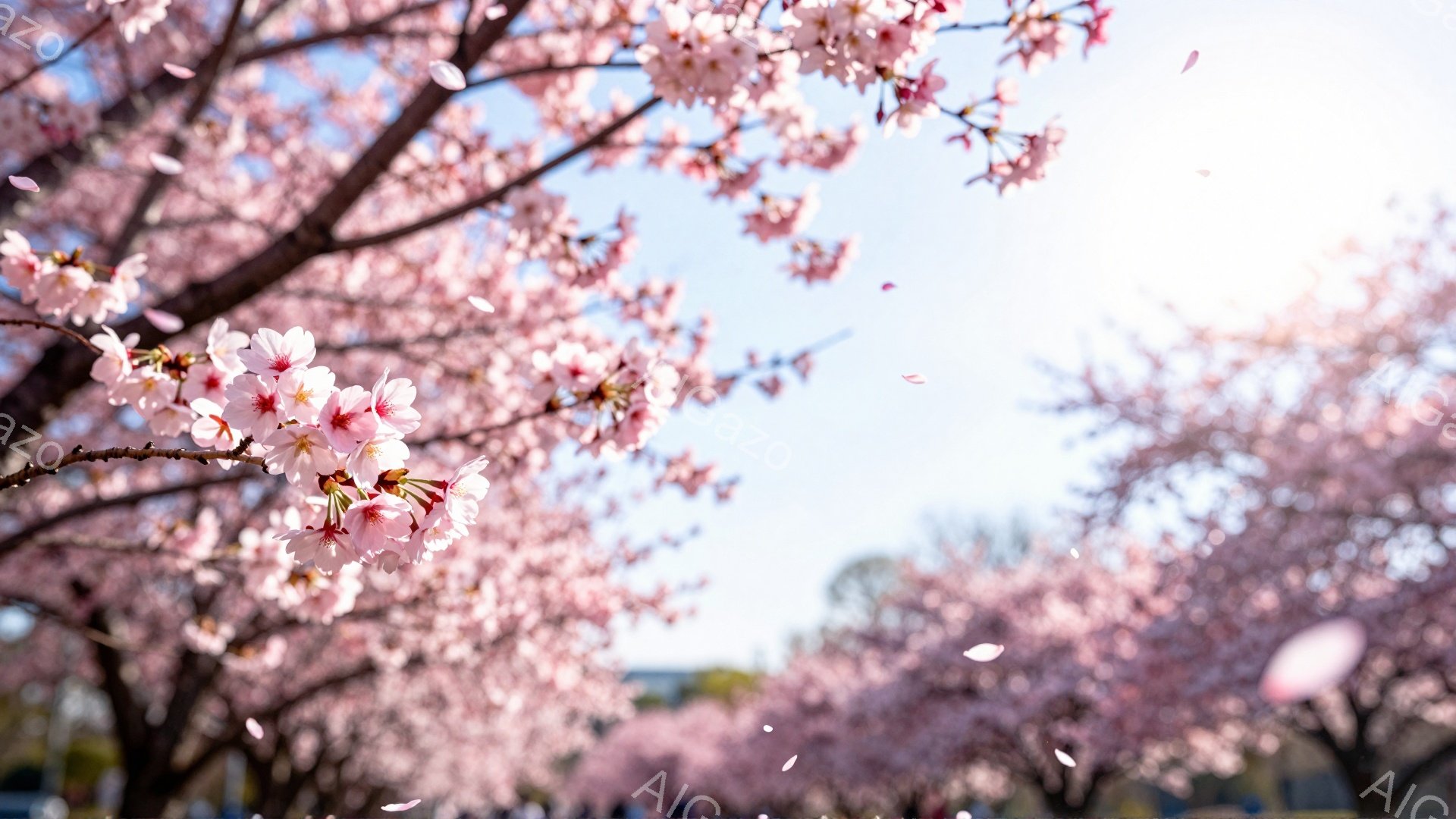 桜の花びらが舞い散る、春の風景です。空は晴れ、薄い雲が広がっています。ピンク色の桜並木が左右に広がり、その向こうにはぼんやりと建物が見え、春の暖かさと穏やかな雰囲気が伝わってきます。 - AI生成フリー素材