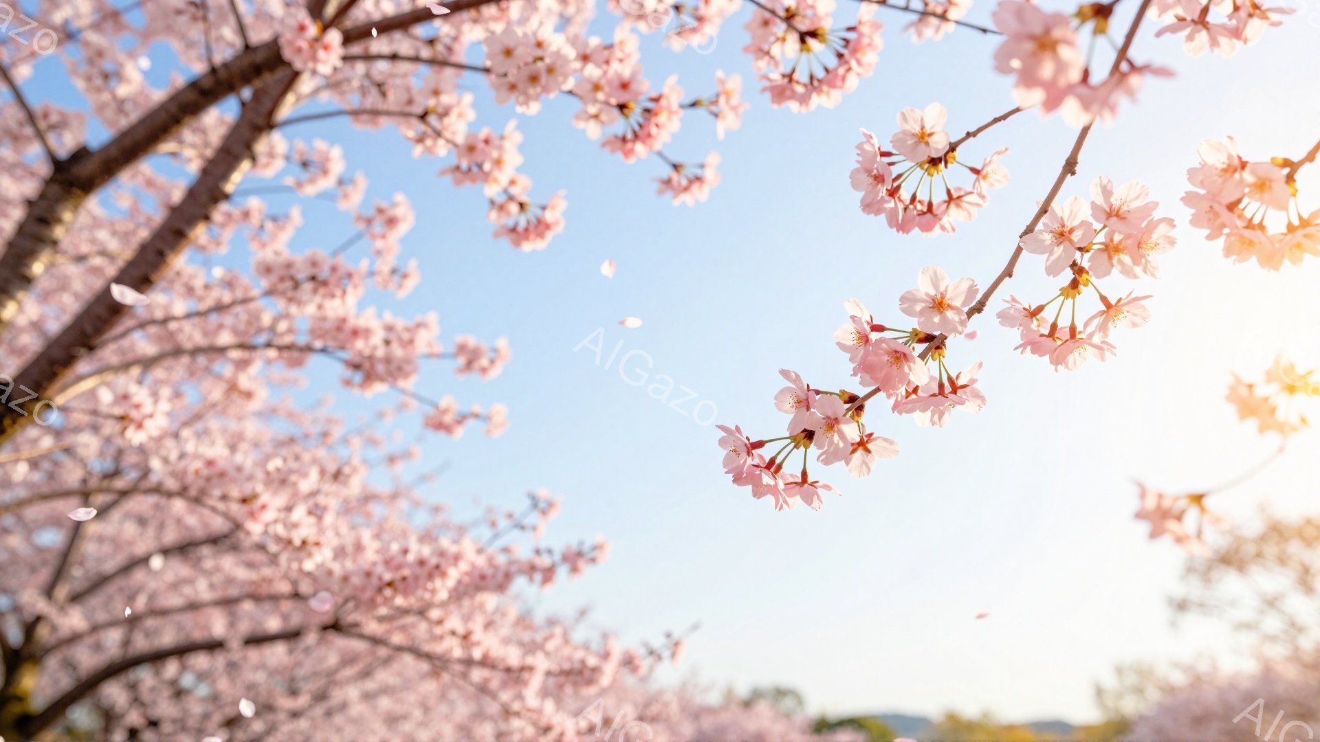 満開の桜が空を覆い、まるでトンネルのように咲き誇っています。柔らかなピンク色の花びらが風に舞い、春の暖かさと儚さを感じさせます。背景には穏やかな山並みがぼんやりと見え、全体的に明るく優しい雰囲気です。