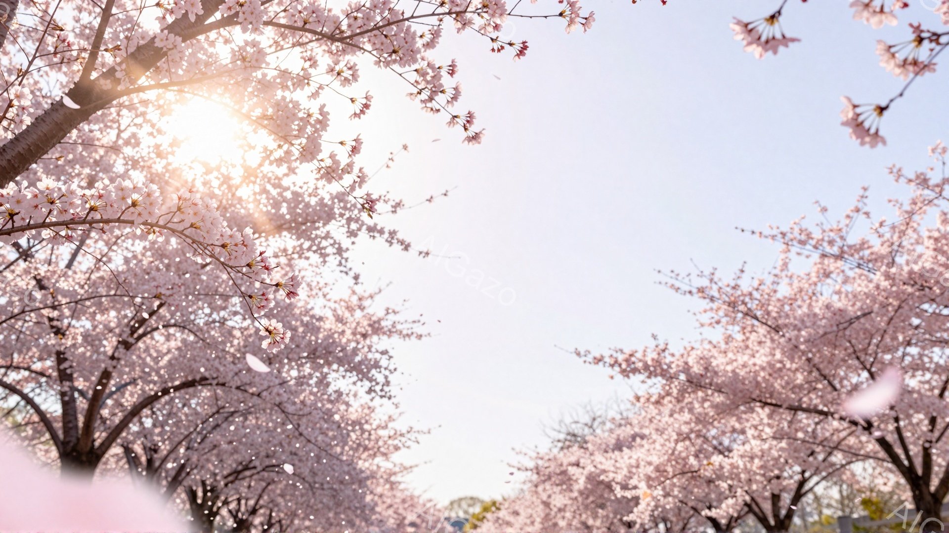 満開の桜並木が続く景色で、淡いピンク色の花びらが空に舞っている。日の光が桜の花を通して柔らかく降り注ぎ、春の暖かさと優しさを感じさせる。背景には青空とわずかな建物が見え、穏やかで幻想的な雰囲気を醸し出 - AI生成フリー素材