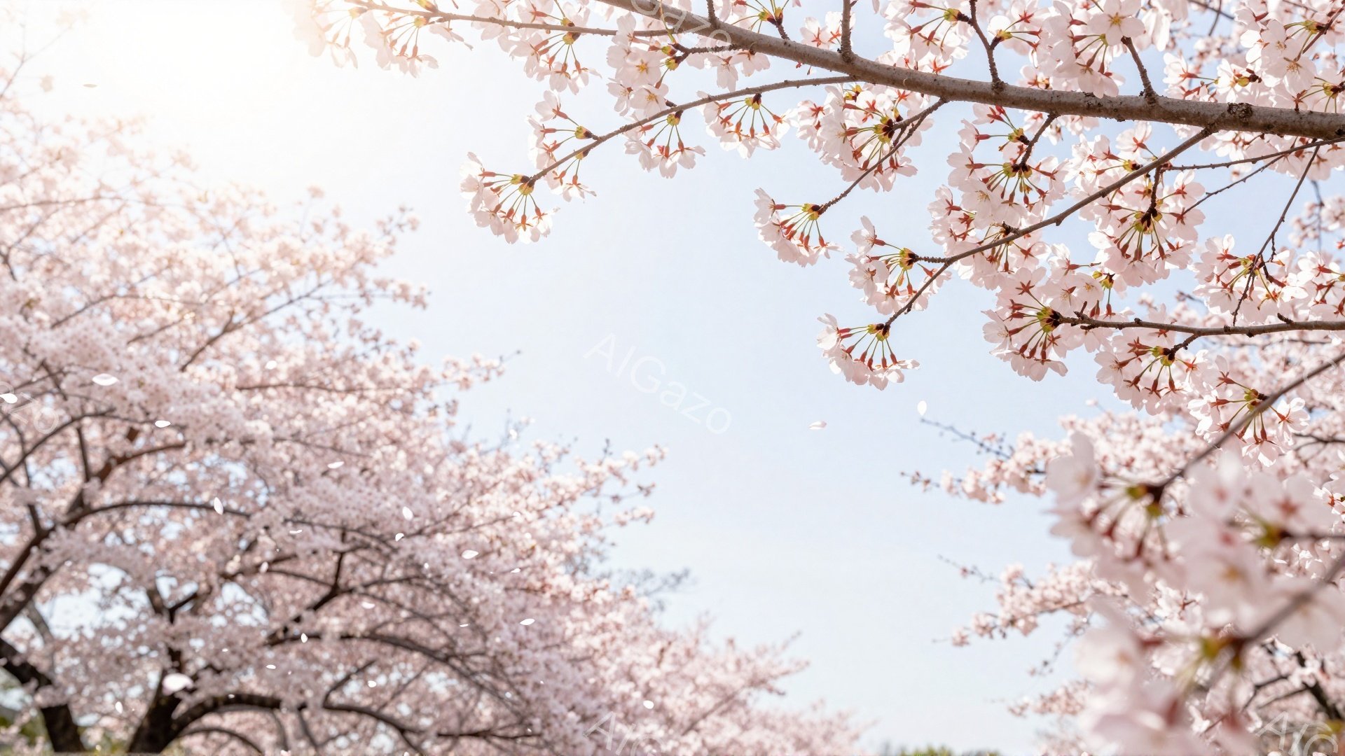 桜の花びらが咲き誇り、空を背景に美しいトンネルのような空間を作り出しています。淡いピンク色の花びらが舞い散り、春の暖かさと儚さを感じさせます。光が差し込み、全体的に柔らかく優しい雰囲気です。