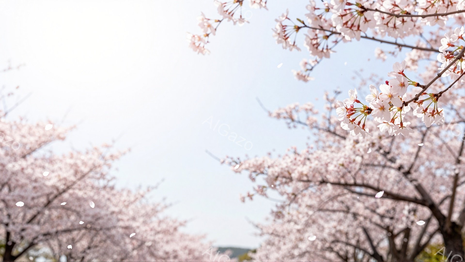 満開の桜が空を覆い、春の訪れを告げる美しい風景です。花びらが舞い散り、柔らかい光に照らされた桜のピンク色が目に鮮やかで、暖かく穏やかな雰囲気が漂っています。背景にはぼんやりと緑の木々と空が広がり、春の優雅さを際立たせています。