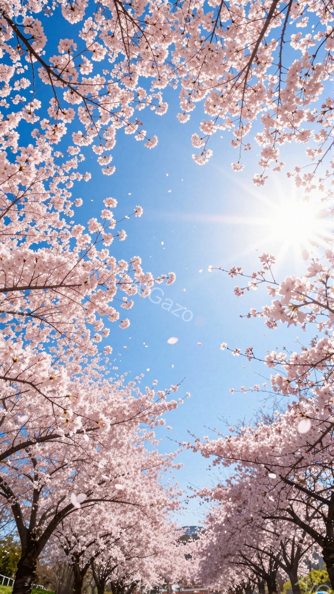 空を見上げるように、満開の桜の花びらがトンネルのように広がっています。鮮やかな青空を背景に、柔らかいピンク色の桜が春の暖かさと儚さを表現しており、日の光が花びらを照らし、幻想的な雰囲気を醸し出していま - AI生成フリー素材