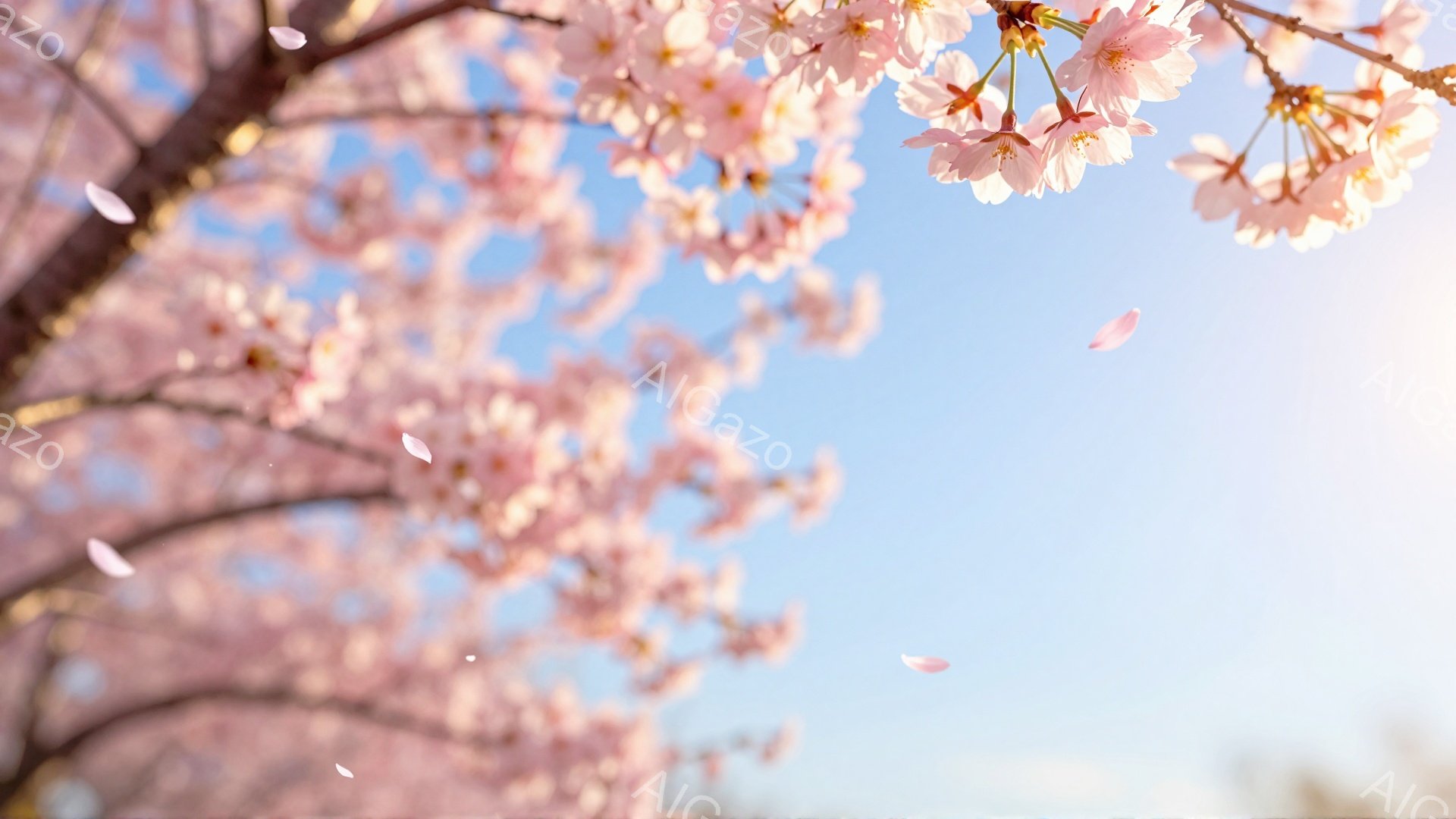 満開の桜の花が、青空を背景に咲き誇っている。薄桃色の花びらが舞い散り、春の暖かく穏やかな雰囲気を醸し出している。枝の曲線と花びらの繊細さが、優美で幻想的な印象を与える。
