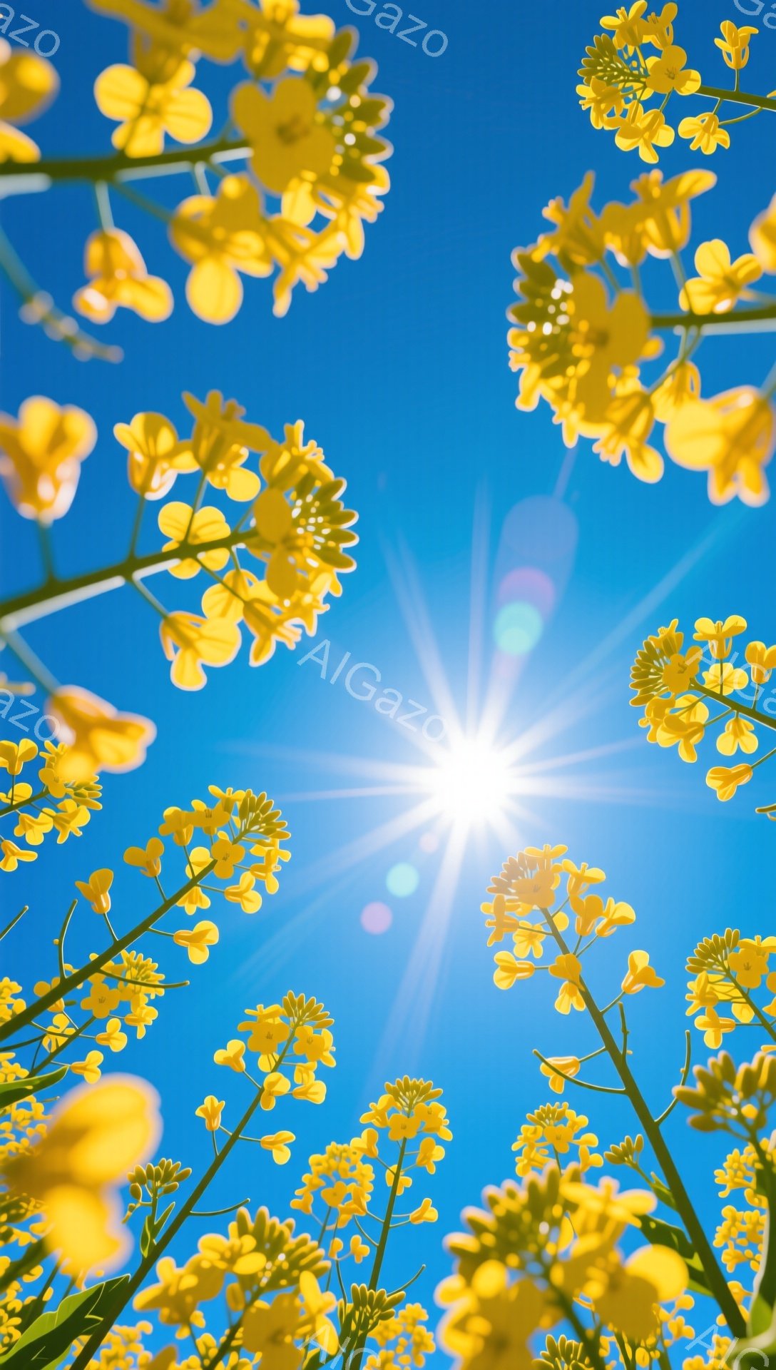 青空を背景に、鮮やかな黄色の菜の花が咲き乱れている。太陽が強く輝き、菜の花の黄色と空の青がコントラストをなしている。春の暖かさと生命力溢れる、明るい雰囲気の風景だ。 - AI生成フリー素材