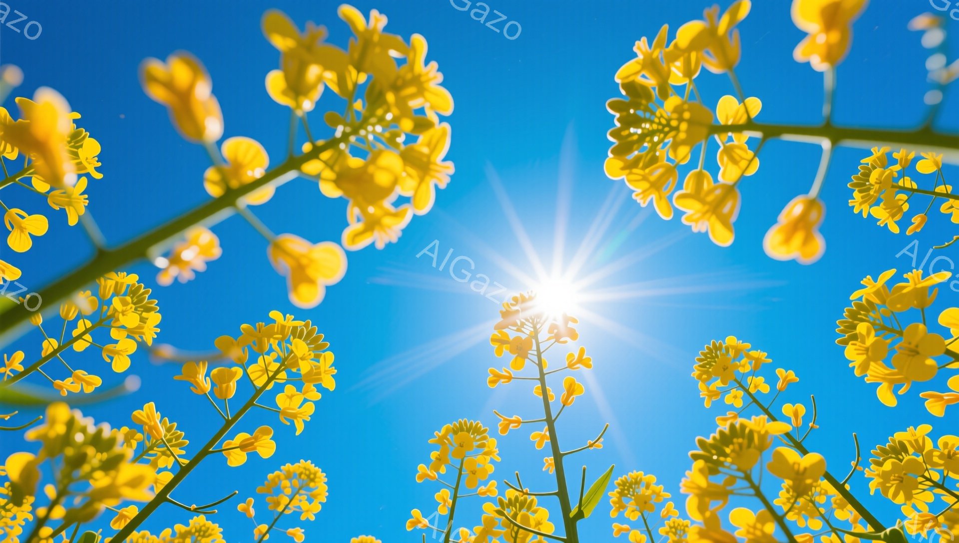 青い空を背景に菜の花が咲き乱れている様子を捉えた写真です。太陽が燦々と輝き、菜の花は明るい光に照らされています。空と菜の花のコントラストが鮮やかで、春の暖かさを感じさせる一枚です。 - AI生成フリー素材