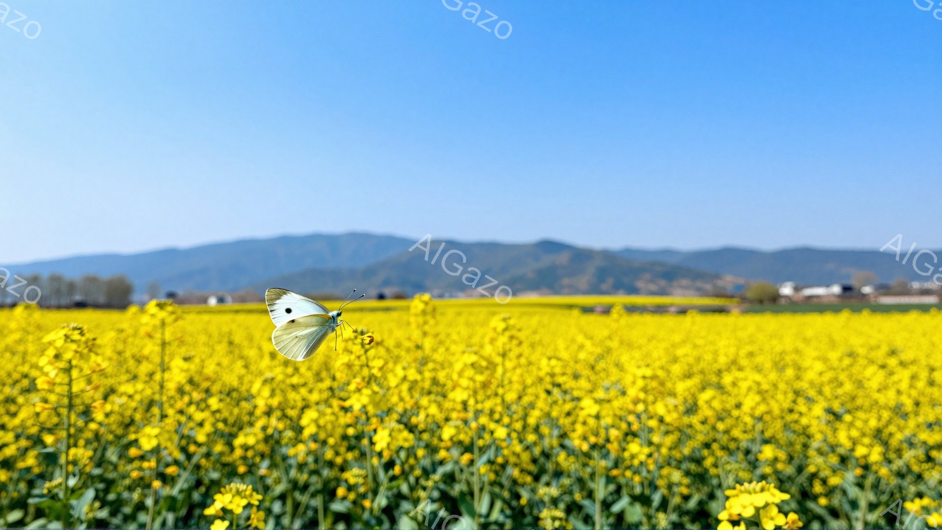 広大な菜の花畑に白い蝶が舞っている。背景には穏やかな山並みが広がり、春の暖かな日差しが感じられる。鮮やかな黄色と青空のコントラストが美しい風景だ。 - AI生成フリー素材