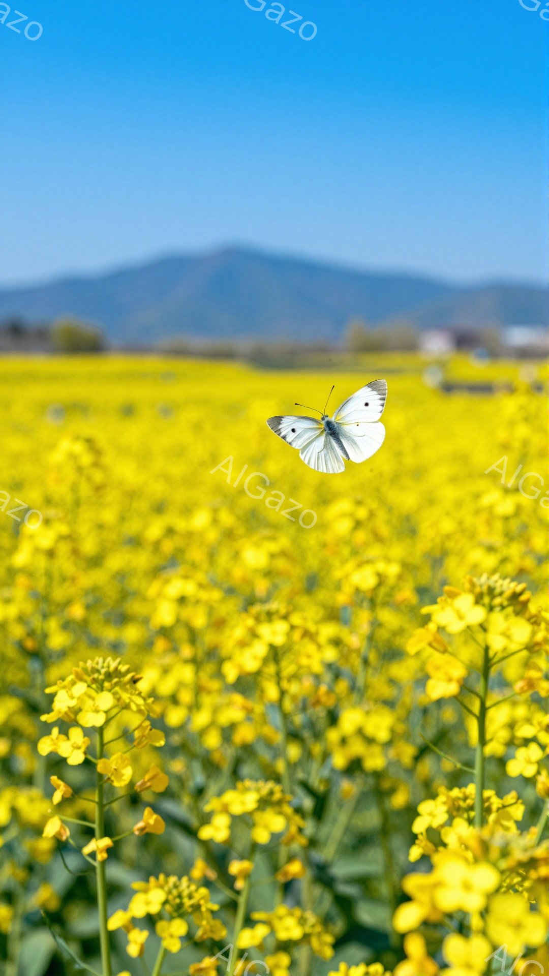 広大な菜の花畑を白蝶が舞っている。背景には穏やかな山並みが広がり、春の暖かな日差しを感じさせる。鮮やかな黄色と青空のコントラストが美しい風景である。 - AI生成フリー素材