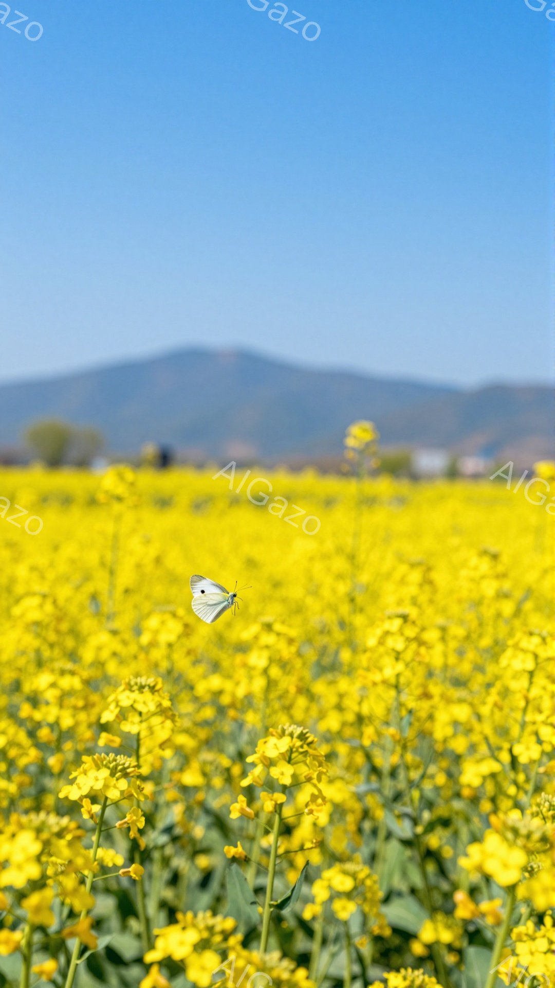 広大な菜の花畑で、白蝶がひらひらと舞っている。背景には緑の山並みが広がり、青空とのコントラストが美しい。春の暖かな日差しが感じられる、穏やかな風景だ。 - AI生成フリー素材