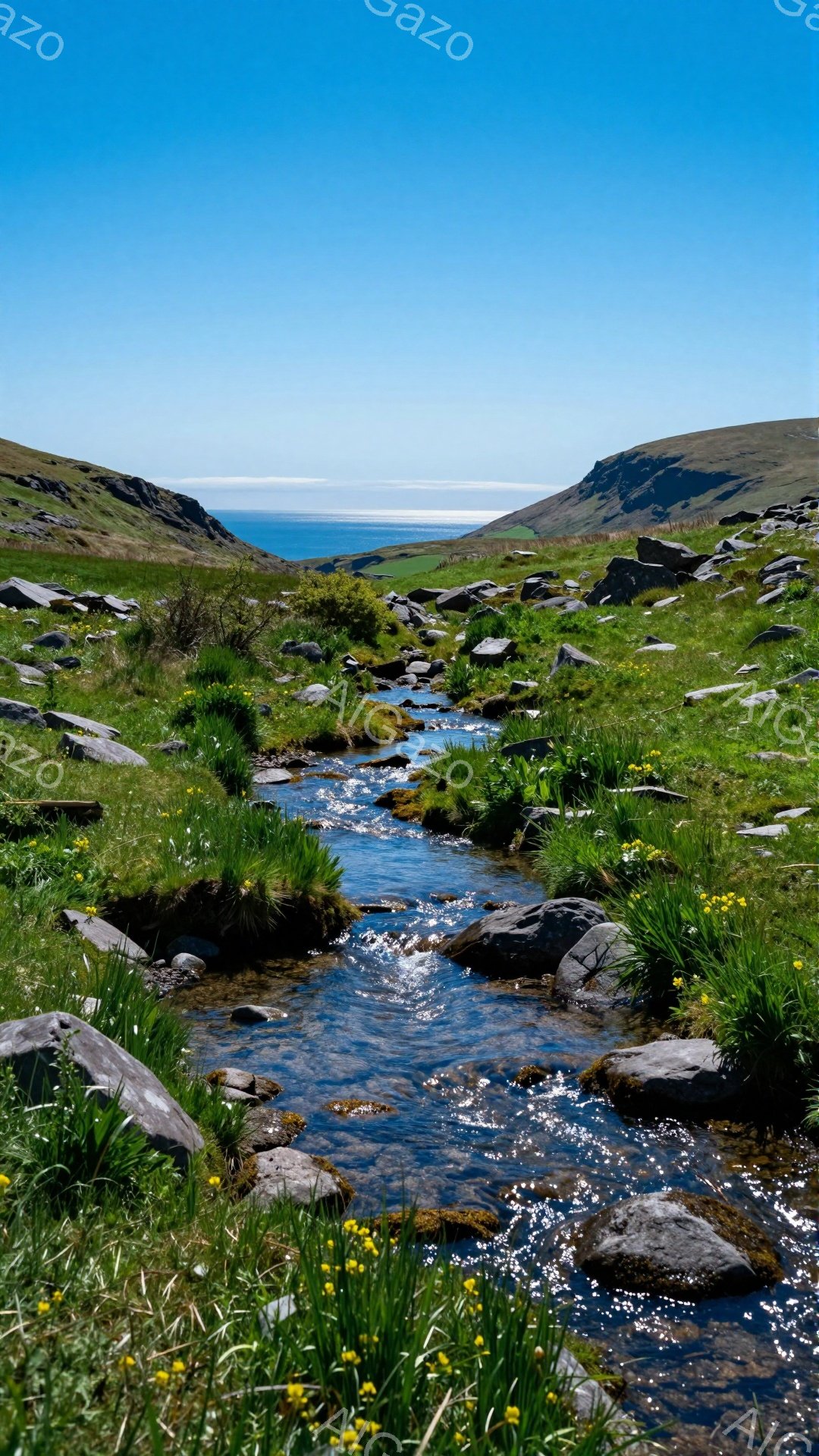 岩と草が生い茂る小川が、山から海へと流れている。鮮やかな緑と青のコントラストが美しく、穏やかで静かな雰囲気を感じさせる。日差しが強く、夏の光景だ。