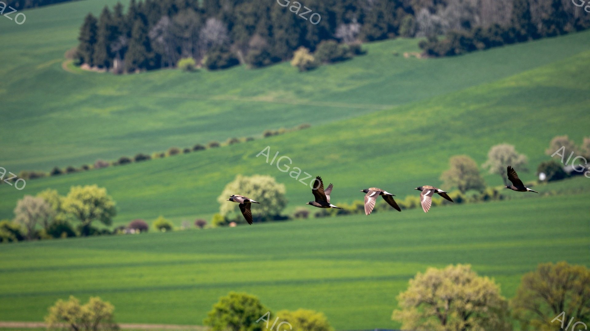 広大な緑の丘陵地帯の上を、数羽の鳥が群れをなして飛んでいる。太陽の光が差し込み、春らしい穏やかな雰囲気が漂っている。背景には、木々や集落が点在し、自然豊かな風景が広がっている。 - AI生成フリー素材
