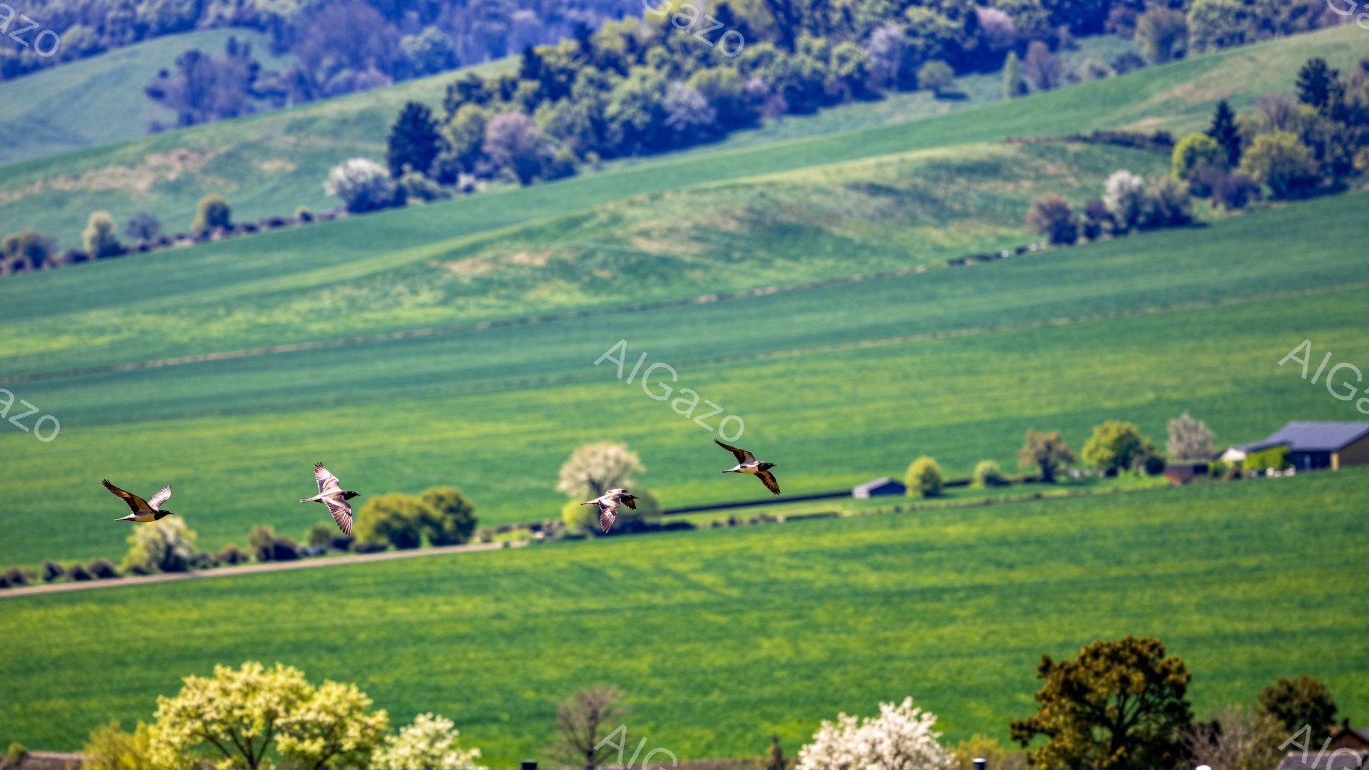 緑豊かな丘陵地帯を複数の鳥が飛んでいる。春の柔らかな光が降り注ぎ、穏やかで平和な雰囲気が漂う。遠景には農家や建物が見え、自然と人間の生活が調和している様子がうかがえる。 - AI生成フリー素材