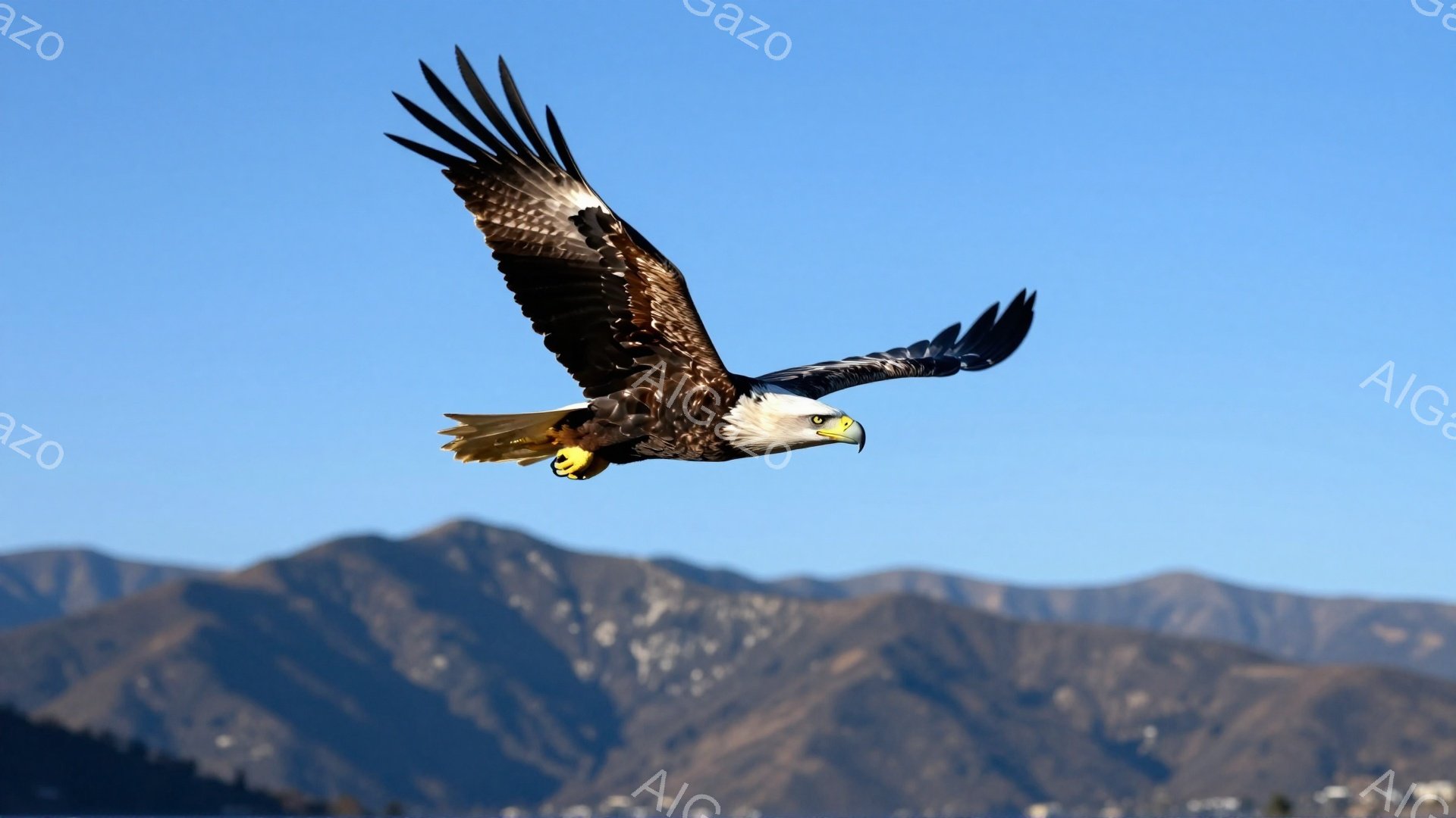 青空を背景に、巨大な翼を広げたハゲワシが力強く飛翔している。翼の先端は黒く、体は白く、鋭い眼光が印象的だ。遠景には山々が連なり、雄大な自然を感じさせる。