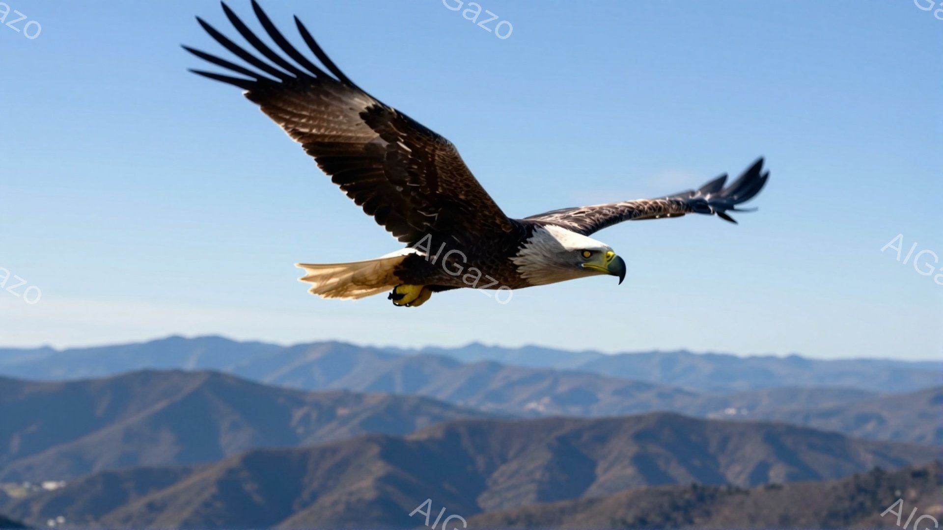 広大な山並みを背景に、翼を広げた白頭ハゲワシが飛び交っている。力強い翼と鋭い眼差しは、大自然の王者としての威厳を感じさせる。青空と山の緑とのコントラストが、この瞬間をより鮮やかに印象付けている。