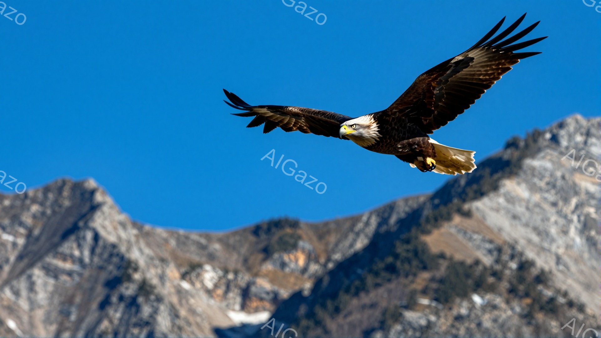 青い空を背景に、翼を広げたハクトウワシが力強く飛んでいる。山々が遠くに見え、自然の雄大さを感じさせる。鮮やかな青空とのコントラストが印象的だ。